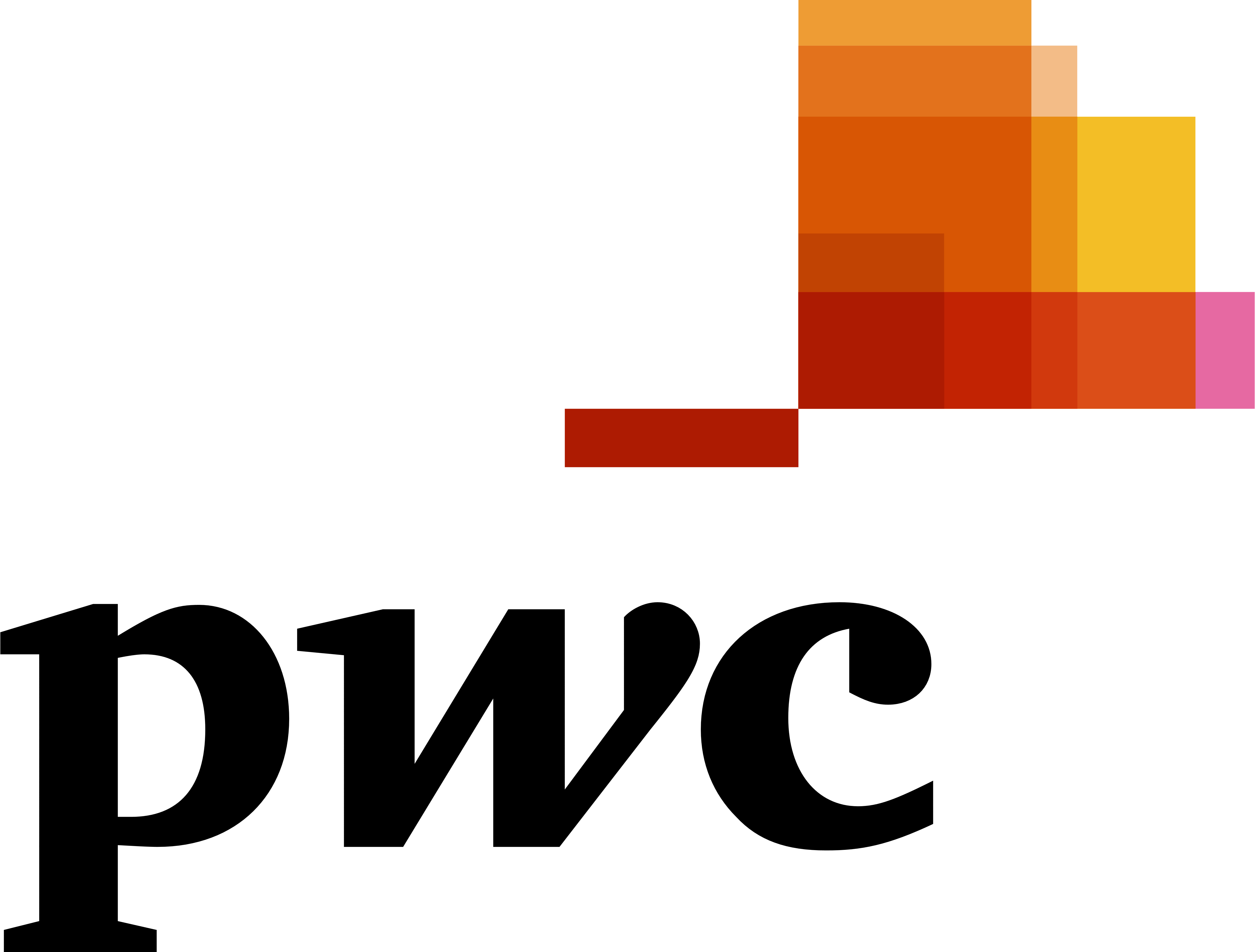 PricewaterhouseCoopers - Professional Services